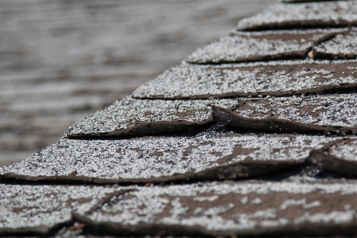 Ice Damage on asphalt shingles Aledo